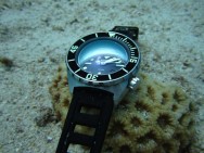 A1, armidawatches.com